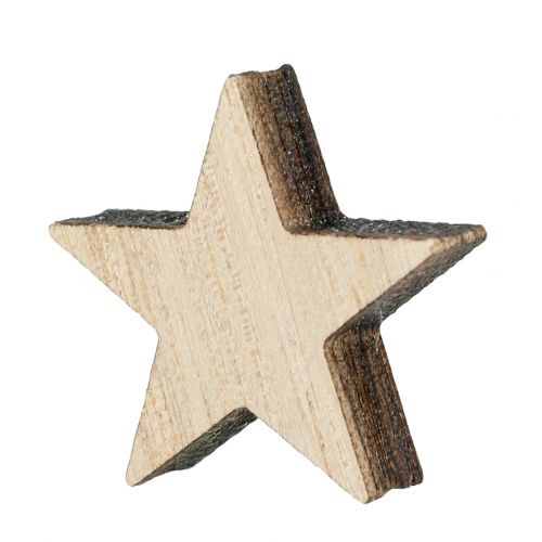 Floristik24 Juletræstjerneblanding natur 2,5cm - 7,5cm 40stk