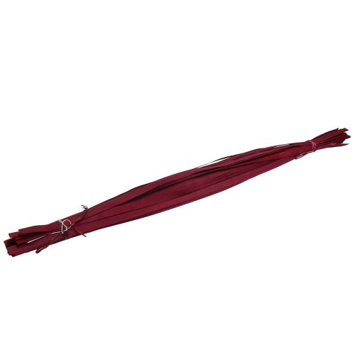 Floristik24 Trestrimler Bordeaux 95cm - 100cm 50p