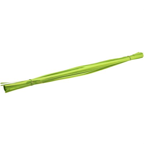 Floristik24 Trælister fjedergrønne 95cm - 100cm 50 stk