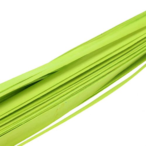 Floristik24 Trælister fjedergrønne 95cm - 100cm 50 stk
