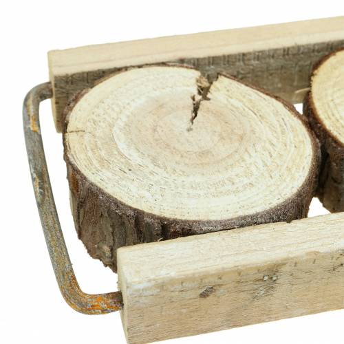 Floristik24 Dekorativ bakke træ med træskiver 34cm x 12cm H3cm