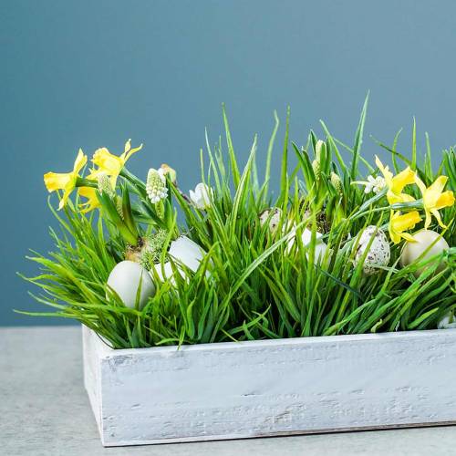 Floristik24 Lurvet Chic træbakke Rektangulær 37,5 cm x 14,5 cm H6,3 cm