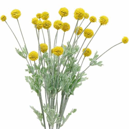 Floristik24 Drumstick Gule kunstige Craspedia Silke Blomster