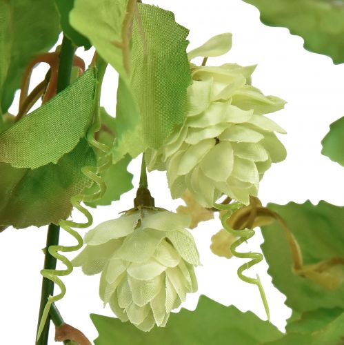 Floristik24 Bladguirlande humleguirlande grøn kunstig L180cm