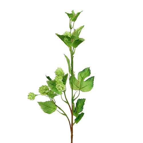 Artikel Humlegren 70cm grøn 2stk Kunstig plante som ægte!