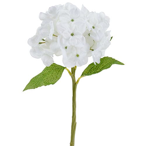 Hortensia 35cm hvid