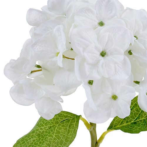 Floristik24 Hortensia 35cm hvid