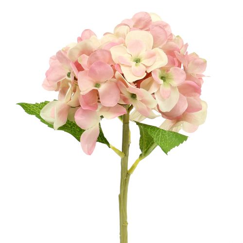 Floristik24 Hortensia pink, creme 36cm