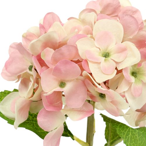 Floristik24 Hortensia pink, creme 36cm