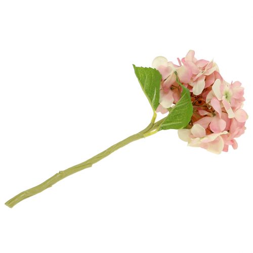 Floristik24 Hortensia pink, creme 36cm