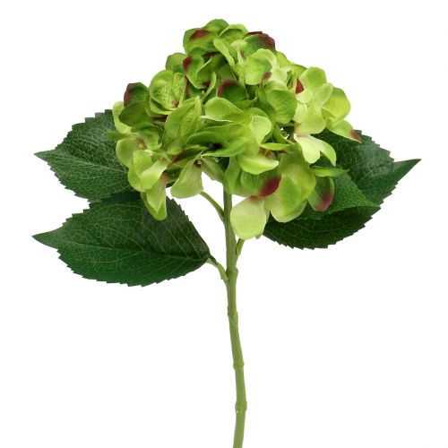 Floristik24 Hortensia grøn kunstig til dekoration L54cm