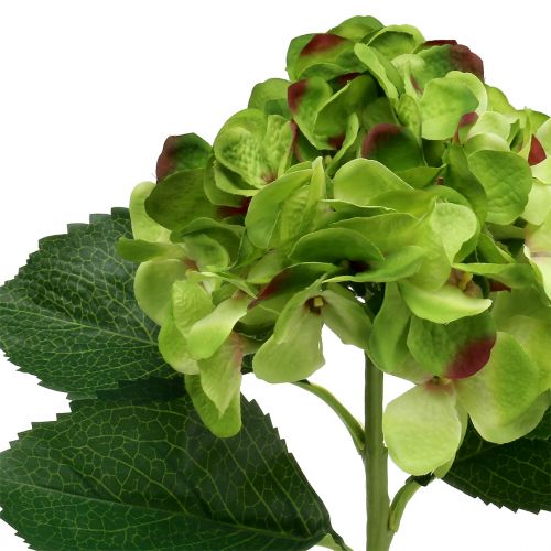 Artikel Hortensia grøn kunstig til dekoration L54cm