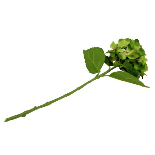Floristik24 Hortensia grøn kunstig til dekoration L54cm