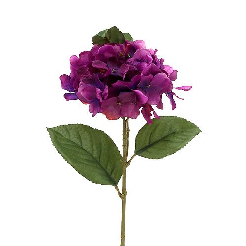 Floristik24 Hortensia lilla 30 cm 3stk