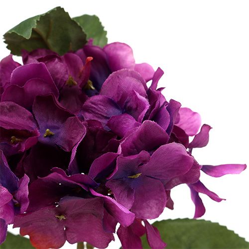 Floristik24 Hortensia lilla 30 cm 3stk