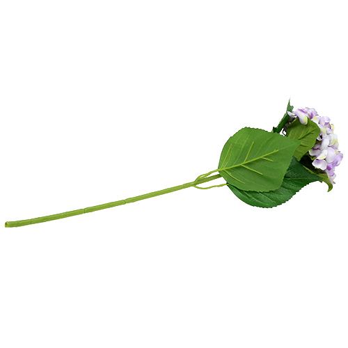 Floristik24 Hortensia lilla-hvid 60cm