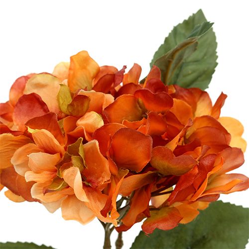 Floristik24 Hortensia orange 30cm 3stk