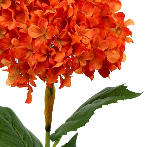 Artikel Hortensia orange 80 cm 1p