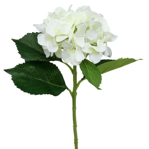 Floristik24 Hortensia hvid L54cm 1p