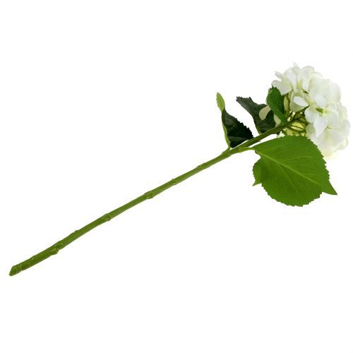 Floristik24 Hortensia hvid L54cm 1p