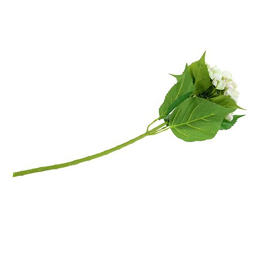 Hortensia hvid-grøn 60cm | Floristik24.dk