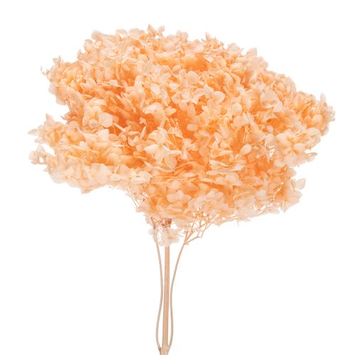 Tørrede hortensiablomsterbuket til elegante blomsterdekorationer derhjemme, 65 cm