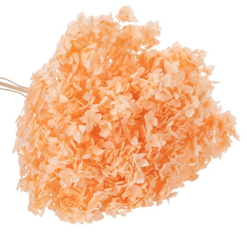 Artikel Tørrede hortensiablomsterbuket til elegante blomsterdekorationer derhjemme, 65 cm