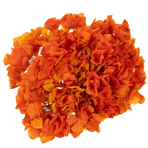 Hortensia, konserveret og farvet, stor blomst med lang stilk, 60 cm | Floristik24.dk