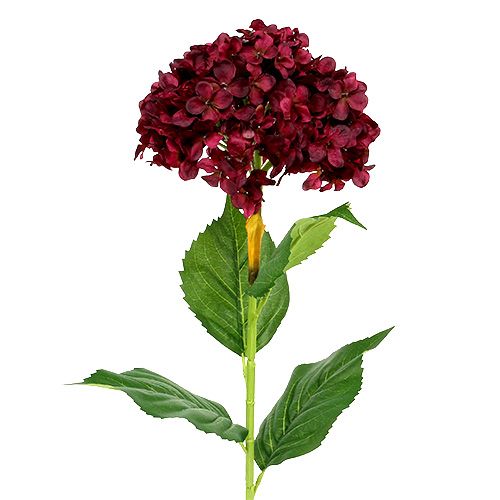 Floristik24 Hortensia kunstig mørkerød 80cm 1 stk