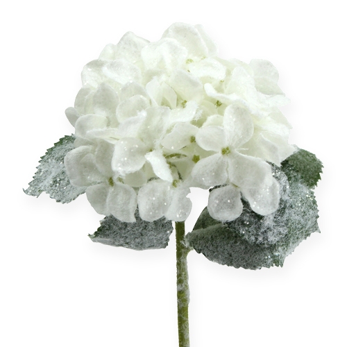 Floristik24 Hortensia hvid med sneeffekt 25cm