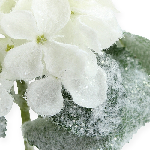 Artikel Hortensia hvid med sneeffekt 25cm