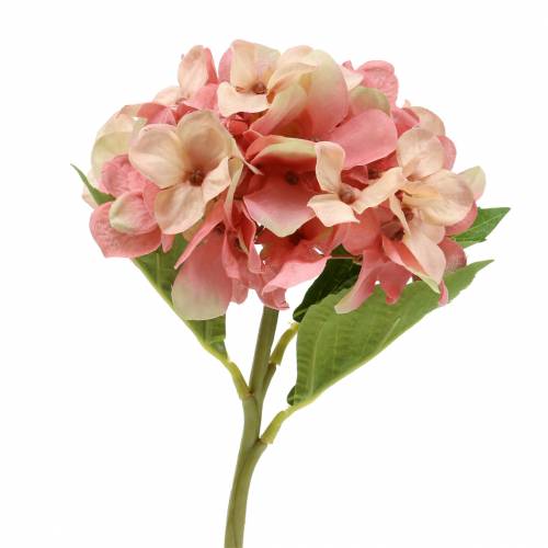 Hortensia beige/pink 35cm