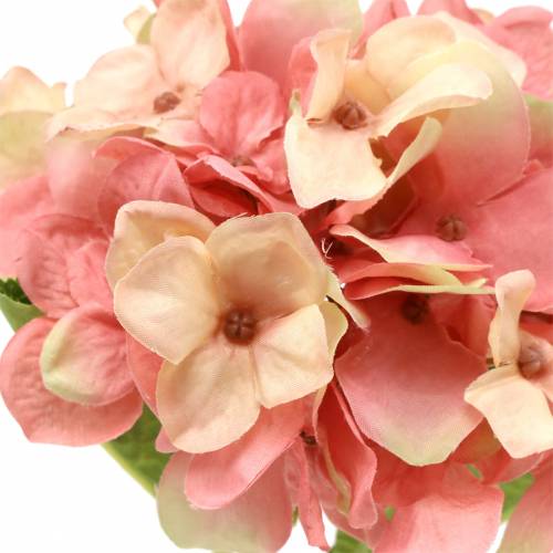 Floristik24 Hortensia beige/pink 35cm