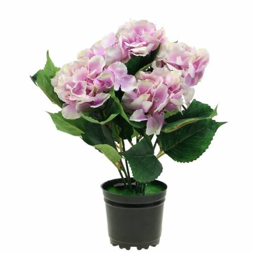 Floristik24 Silkeblomster hortensia i en pot lilla 35cm