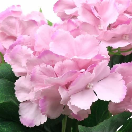 Floristik24 Potted Hortensia Artificial Pink 35cm