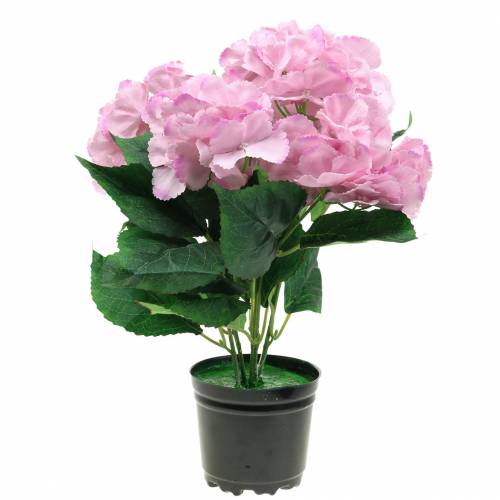 Floristik24 Potted Hortensia Artificial Pink 35cm