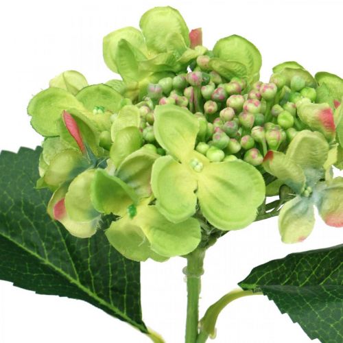 Artikel Kunstig hortensia, blomsterdekoration, silkeblomst grøn L44cm