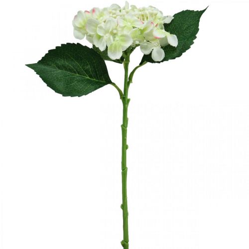 Floristik24 Hortensia, silkeblomst, kunstig blomst til bordpynt hvid, grøn L44cm