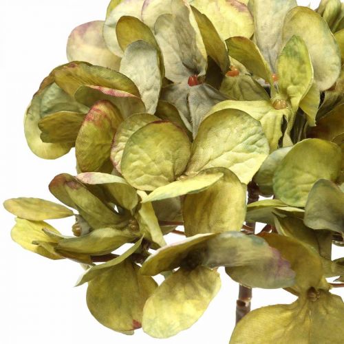 Floristik24 Hortensia kunstig grøn kunstig blomst 64cm