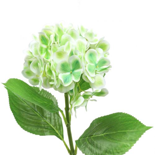Artikel Hortensia kunstig grøn, hvid 68cm