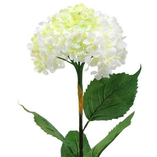 Floristik24 Hortensia hvid kunstig 80 cm