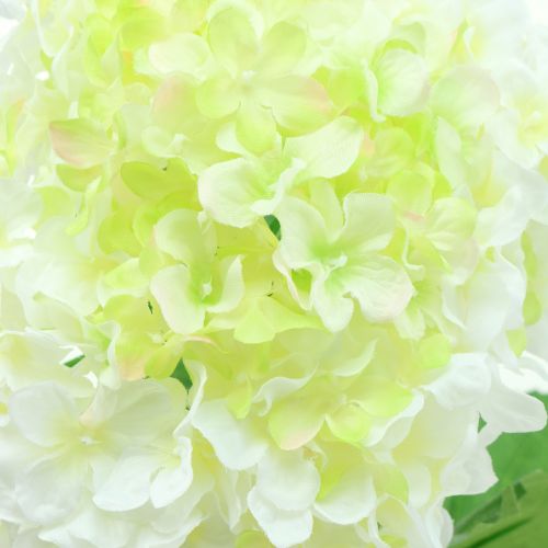 Floristik24 Hortensia hvid kunstig 80 cm