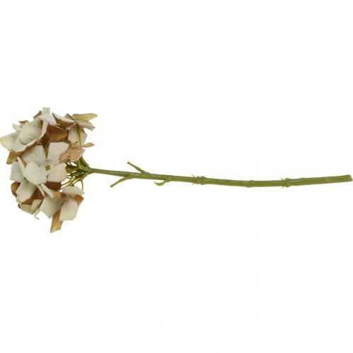 Floristik24 Hortensia kunstig blomst brun, hvid efterårsdekoration silkeblomst H32cm