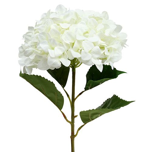 Floristik24 Hortensia Maxi Hvid Ø30cm L113cm