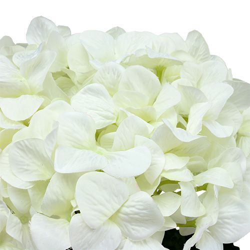Floristik24 Hortensia Maxi Hvid Ø30cm L113cm