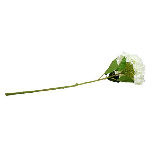Floristik24 Hortensia Maxi Hvid Ø30cm L113cm