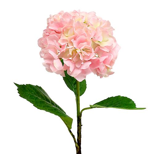 Floristik24 Hortensia lyserød L 70cm