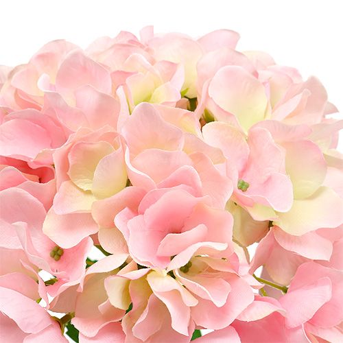 Floristik24 Hortensia lyserød L 70cm