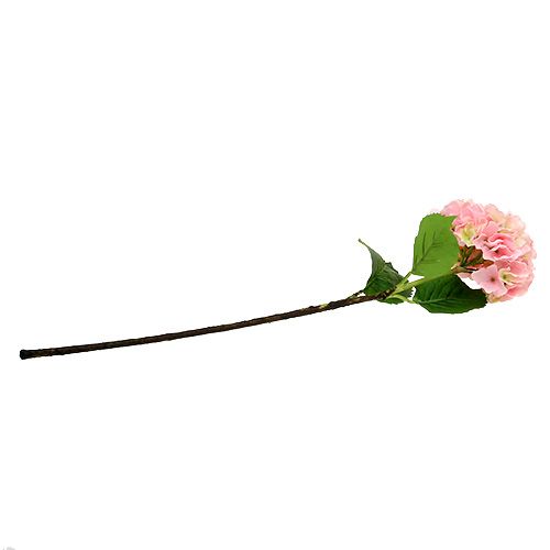 Floristik24 Hortensia lyserød L 70cm