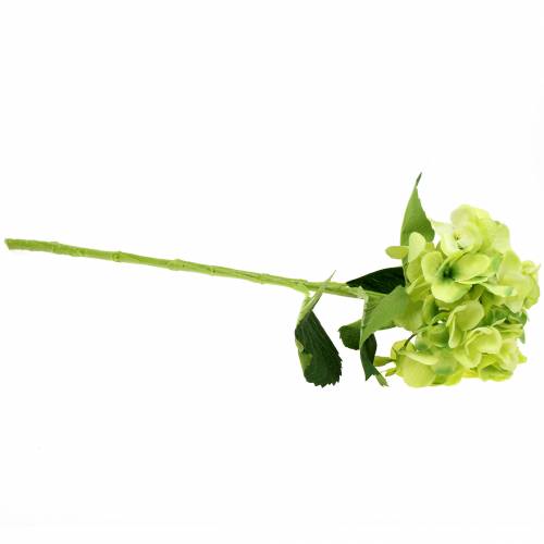 Floristik24 Hortensia grøn 54cm